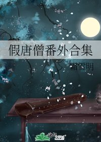 《假唐僧番外合集》