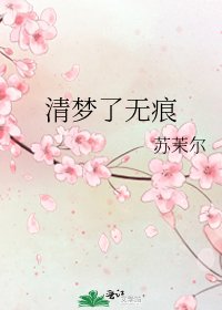 《清梦了无痕》