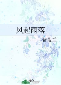 《风起雨落》