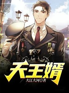 《天王婿》