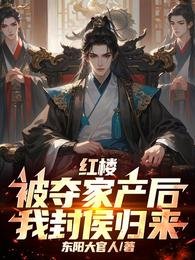 《红楼:被夺家产后,我封侯归来》
