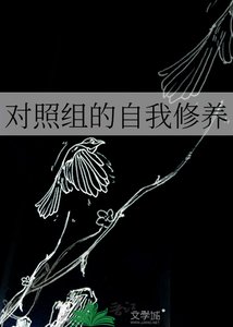 《对照组的自我修养》